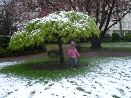 6 April snow 5.jpg